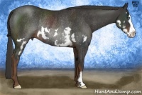 Horse Color:Liver Chestnut Splash Frame Rabicano 