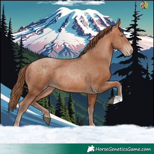 Horse Color:Brown Pearl 