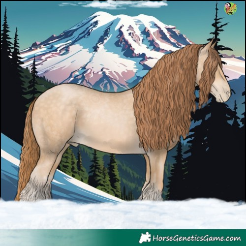 Horse Color:Buckskin Pearl 