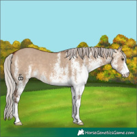 Horse Color:White Spotted Silver Brown Dun