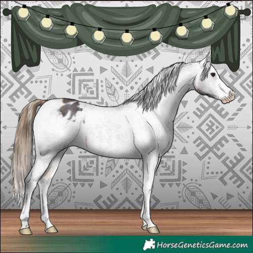 Horse Color:Buckskin Sabino Varnish