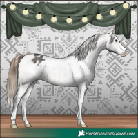 Horse Color:Buckskin Sabino Varnish