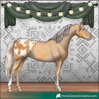 Horse Color:Gold Cream Champagne Appaloosa
