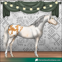 Horse Color:Gold Cream Champagne Appaloosa 