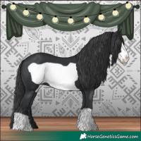 Horse Color:Black Frame 