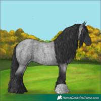 Horse Color:Blue Roan 