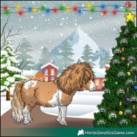 Horse Color:Chestnut Splash Tobiano