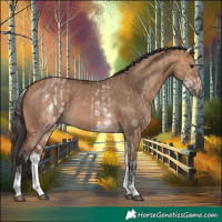 Horse Color:White Spotted Bay Dun Rabicano  and White Spotted Bay Dun Rabicano 