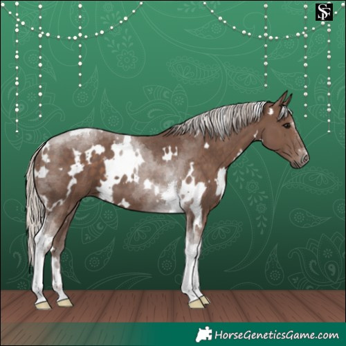 Horse Color:White Spotted Silver Black Tobiano 