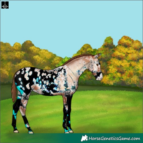 Horse Color:White Spotted Brown Pearl Onyx Blanket 
