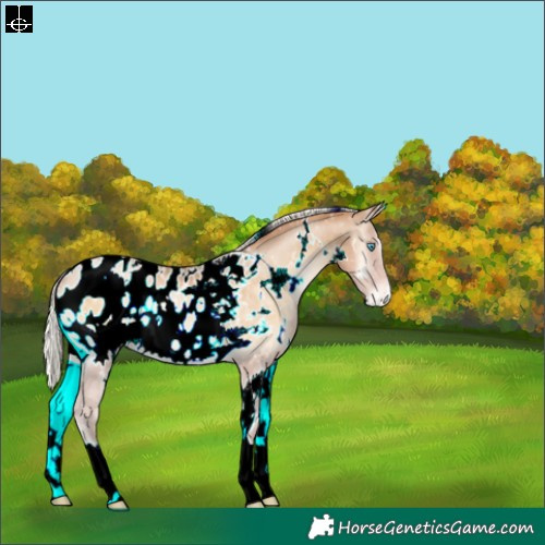 Horse Color:White Spotted Silver Buckskin Pearl Onyx Blanket 