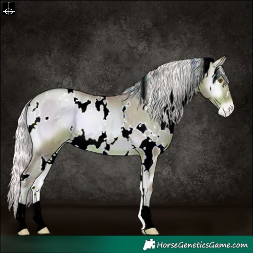 Horse Color:Watercolor White Spotted Silver Brown Pearl Onyx Appaloosa 