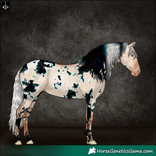 Horse Color:White Spotted Silver Brown Pearl Dun Snowflake Varnish 