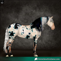 Horse Color:White Spotted Silver Brown Pearl Dun Snowflake Varnish 