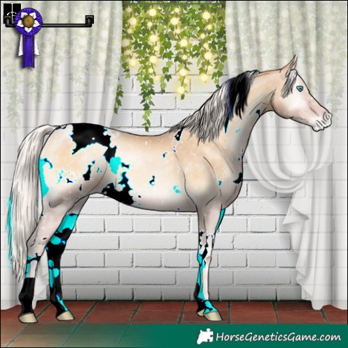 Horse Color:White Spotted Silver Buckskin Pearl Onyx Snowflake Varnish 