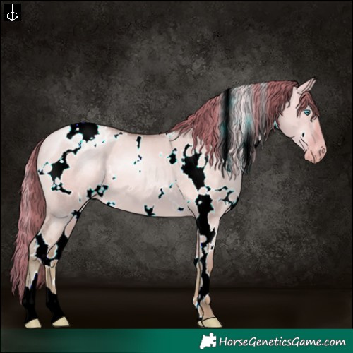 Horse Color:Watercolor White Spotted Buckskin Pearl Dun Varnish 