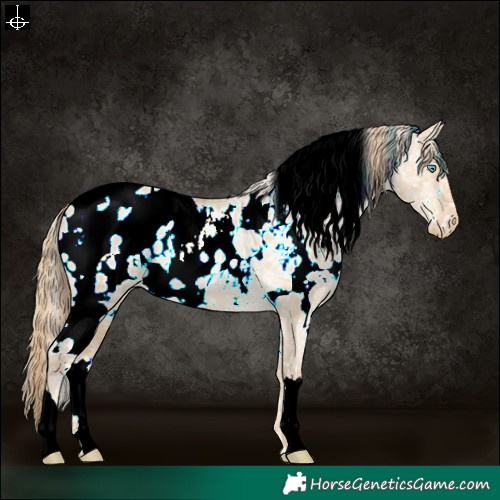 Horse Color:White Spotted Buckskin Pearl Dun Blanket 