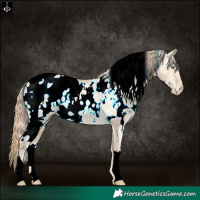 Horse Color:White Spotted Buckskin Pearl Dun Blanket 