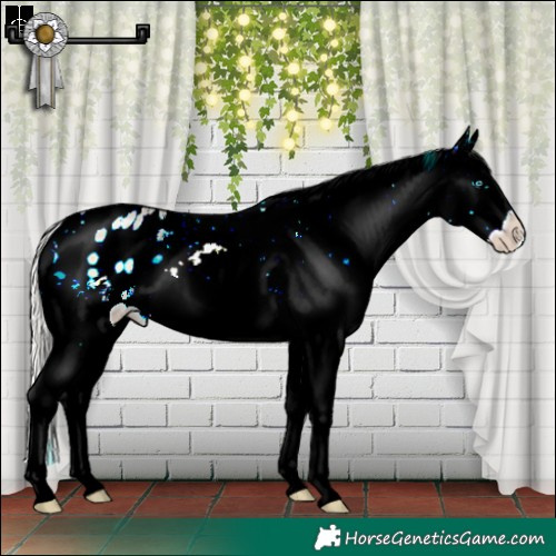 Horse Color:White Spotted Silver Buckskin Pearl Onyx Snowflake Varnish 