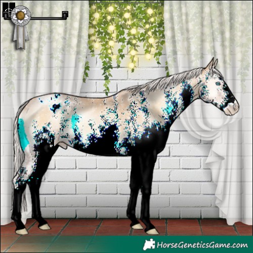 Horse Color:White Spotted Silver Buckskin Pearl Onyx Appaloosa 