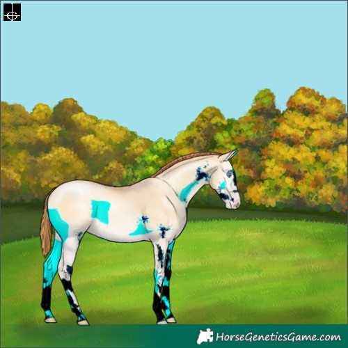 Horse Color:Buckskin Pearl Onyx Sabino 