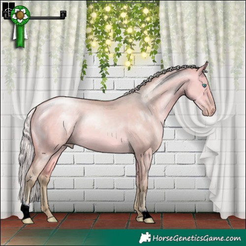 Horse Color:Watercolor Silver Buckskin Pearl Dun Sabino 