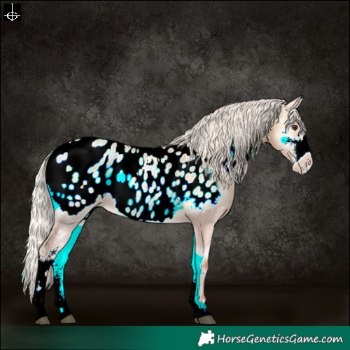 Horse Color:Silver Bay Pearl Onyx Sabino Near Leopard Rabicano 