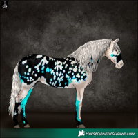 Horse Color:Silver Bay Pearl Onyx Sabino Appaloosa Rabicano