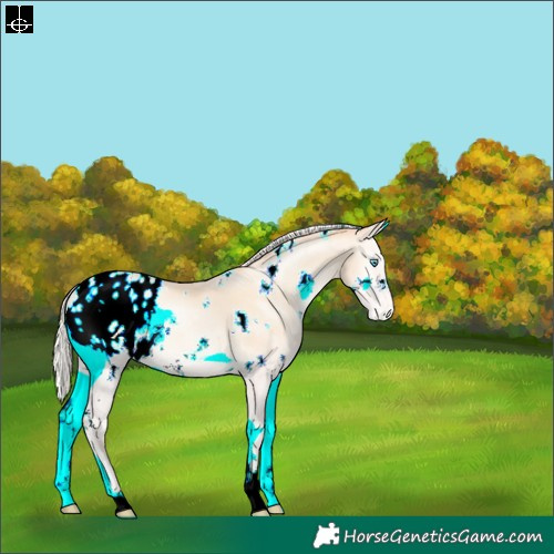 Horse Color:White Spotted Silver Amber Cream Champagne Pearl Onyx Appaloosa 