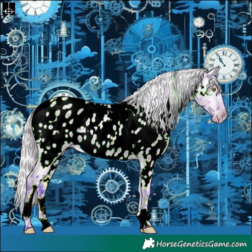 Horse Color:Watercolor White Spotted Silver Brown Dun Near Leopard 