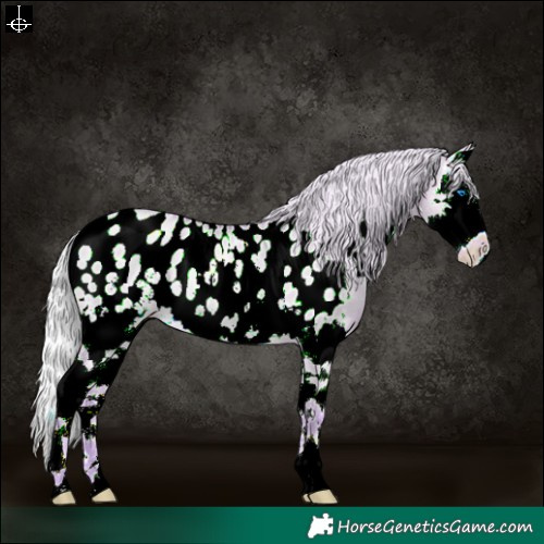 Horse Color:Watercolor Silver Buckskin Pearl Dun Sabino Splash Near Leopard Rabicano 