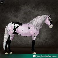 Horse Color:Watercolor White Spotted Silver Bay Pearl Dun Splash Blanket Rabicano 