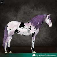 Horse Color:Watercolor White Spotted Sable Champagne Pearl Onyx Rabicano 