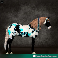 Horse Color:White Spotted Amber Cream Champagne Pearl Onyx Splash Rabicano 