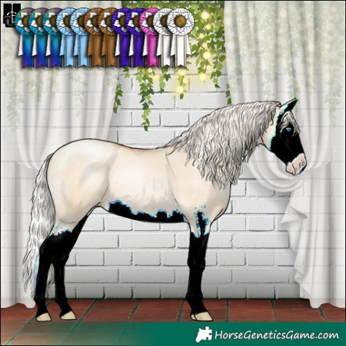 Horse Color:Silver Buckskin Pearl Dun Sabino Splash 