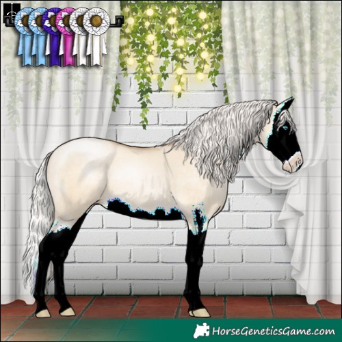 Horse Color:Silver Buckskin Pearl Dun Sabino Splash 