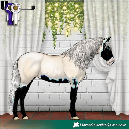 Horse Color:Silver Buckskin Pearl Dun Sabino Splash 