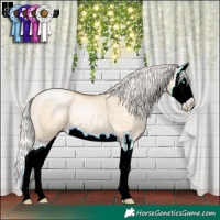 Horse Color:Silver Buckskin Pearl Dun Sabino Splash 