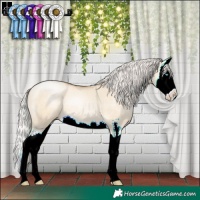 Horse Color:Silver Buckskin Pearl Dun Sabino Splash 