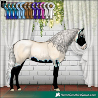 Horse Color:Silver Buckskin Pearl Dun Sabino Splash