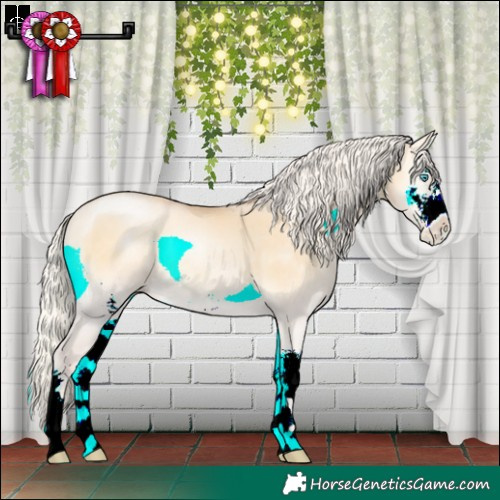 Horse Color:Silver Buckskin Pearl Onyx Sabino Rabicano 
