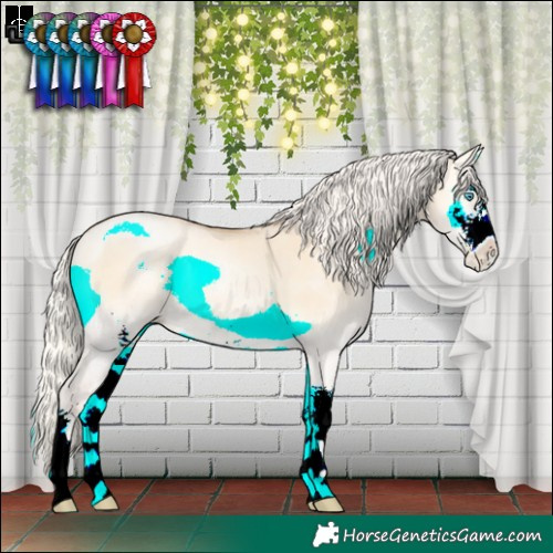 Horse Color:Silver Buckskin Pearl Onyx Sabino Rabicano 