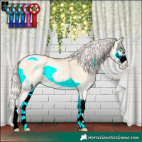 Horse Color:Silver Buckskin Pearl Onyx Sabino Rabicano