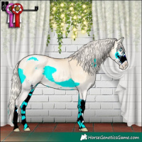 Horse Color:Silver Buckskin Pearl Onyx Sabino Rabicano 