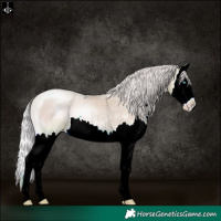 Horse Color:Watercolor Silver Sable Cream Champagne Pearl Onyx Sabino Splash