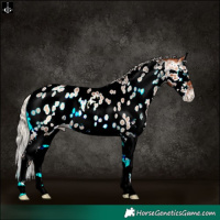 Horse Color:Silver Bay Pearl Onyx Sabino Splash Near Leopard Rabicano 