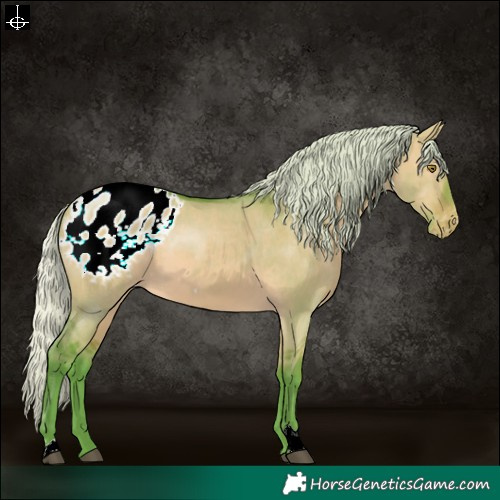 Horse Color:Watercolor Silver Bay Dun Appaloosa 