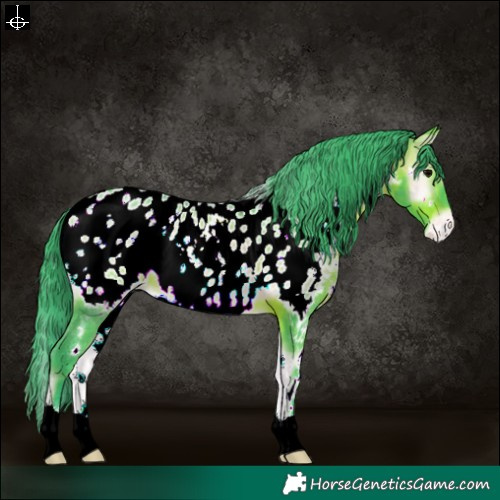 Horse Color:Watercolor White Spotted Brown Onyx Near Leopard 