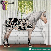 Horse Color:Silver Bay Dun Near Leopard 