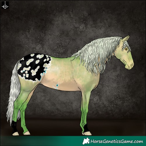 Horse Color:Watercolor Silver Brown Dun Appaloosa
